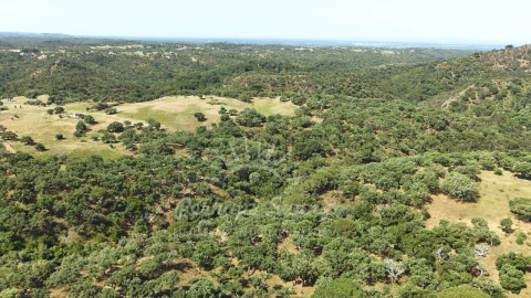 Terreno Misto para Venda em São Francisco da Serra