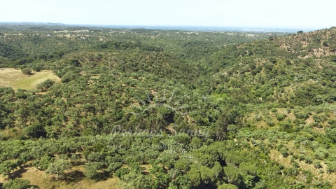 Terreno Misto para Venda em São Francisco da Serra