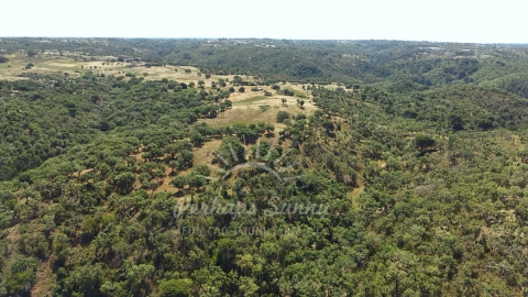 Terreno Misto para Venda em São Francisco da Serra