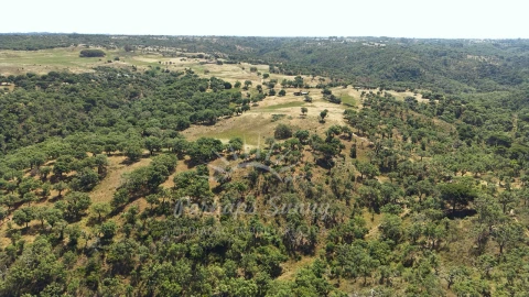 Terreno Misto para Venda em São Francisco da Serra