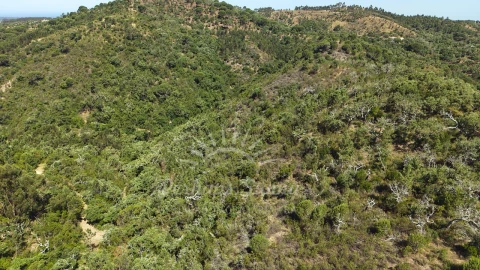 Terreno Misto para Venda em São Francisco da Serra