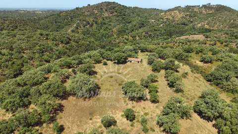 Terreno Misto para Venda em São Francisco da Serra