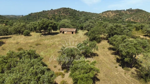 Terreno Misto para Venda em São Francisco da Serra