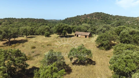 Terreno Misto para Venda em São Francisco da Serra