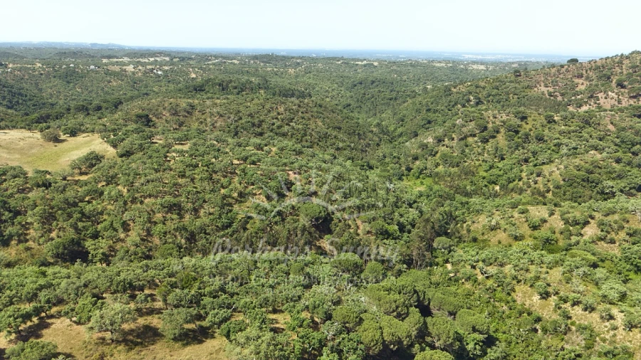 Terreno Misto para Venda em São Francisco da Serra Foto 16