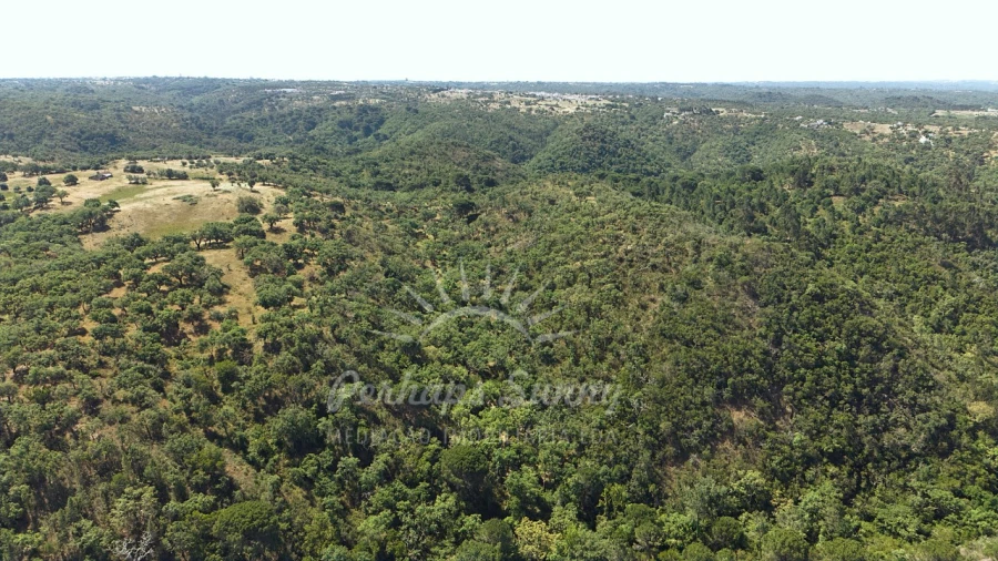 Terreno Misto para Venda em São Francisco da Serra Foto 18
