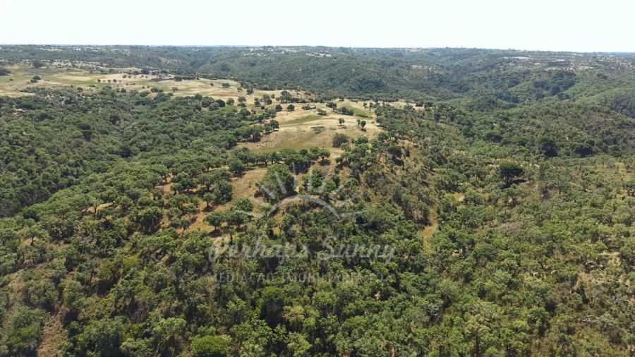 Terreno Misto para Venda em São Francisco da Serra Foto 19