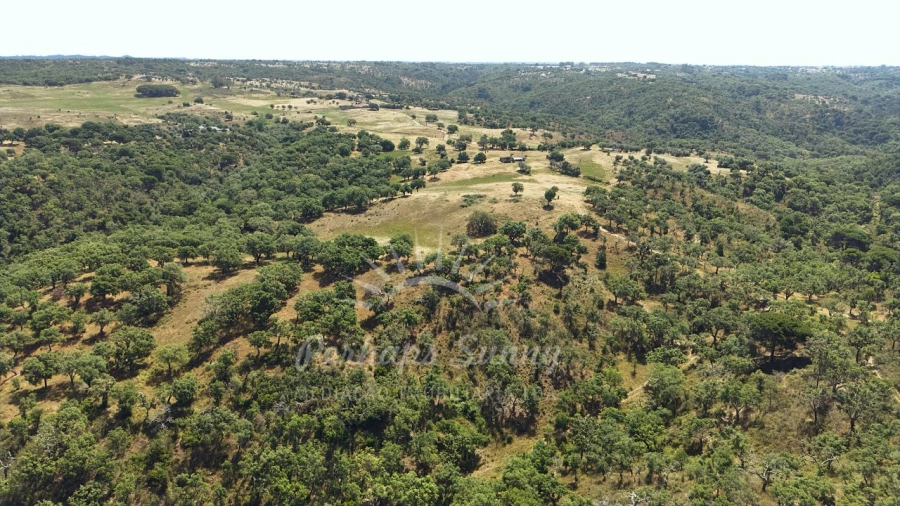 Terreno Misto para Venda em São Francisco da Serra Foto 20