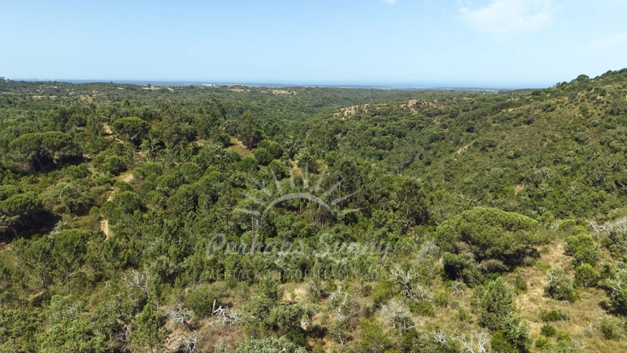 Terreno Misto para Venda em São Francisco da Serra Foto 23