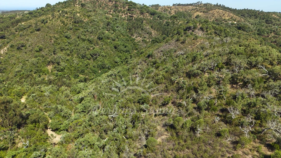 Terreno Misto para Venda em São Francisco da Serra Foto 24