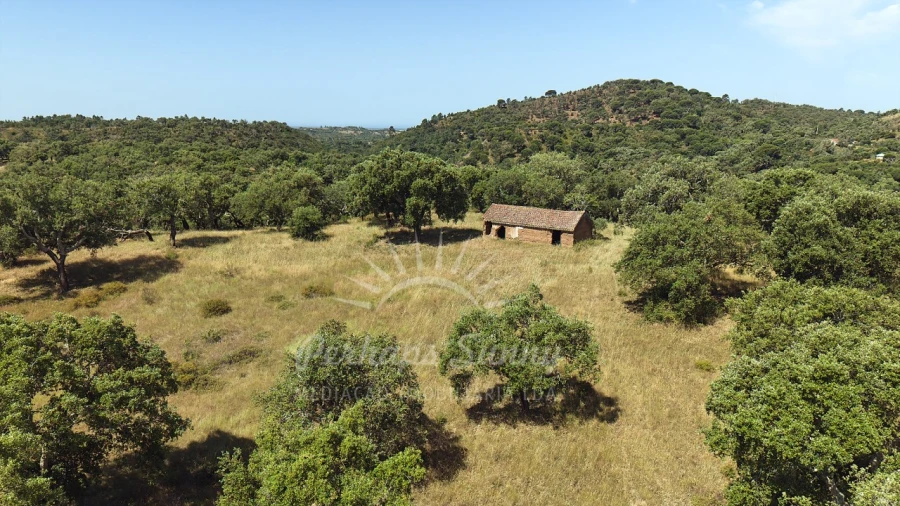 Terreno Misto para Venda em São Francisco da Serra Foto 30