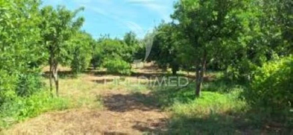 Quinta T1 para Venda em Pardais