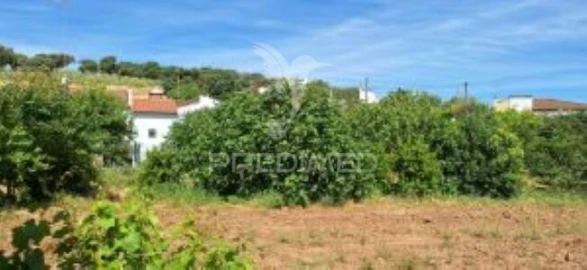 Quinta T1 para Venda em Pardais