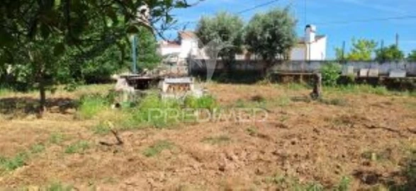 Quinta T1 para Venda em Pardais
