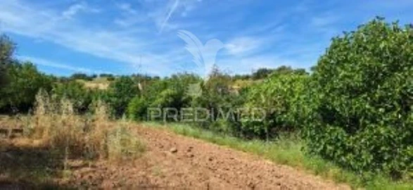 Quinta T1 para Venda em Pardais