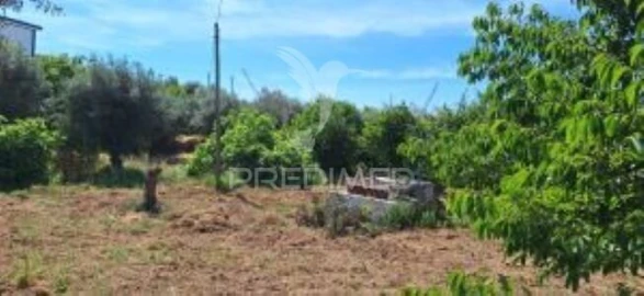 Quinta T1 para Venda em Pardais