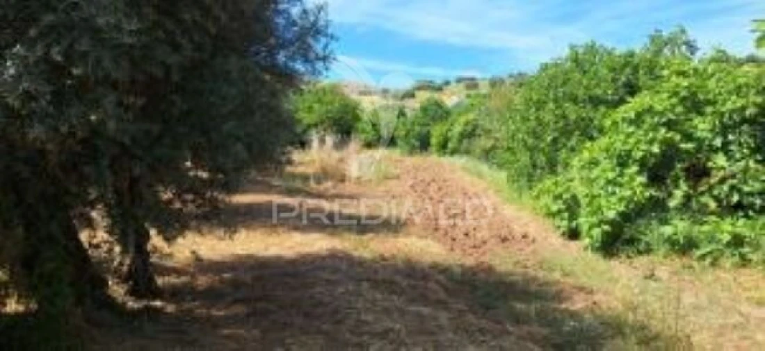Quinta T1 para Venda em Pardais Foto 27