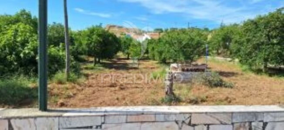 Quinta T1 para Venda em Pardais Foto 8
