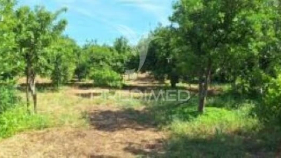 Quinta T1 para Venda em Pardais