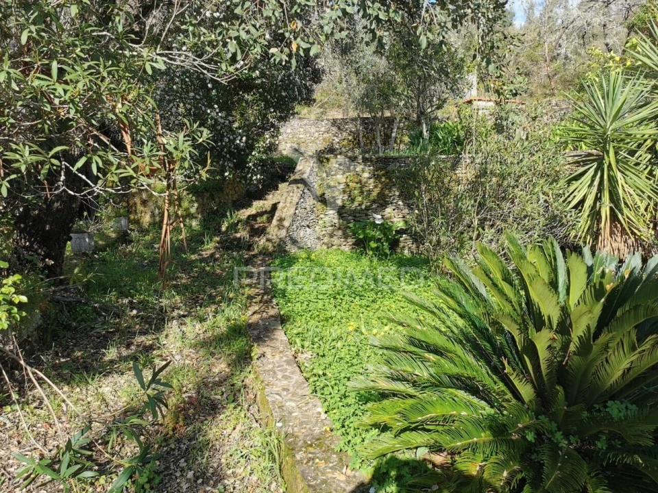 Terreno para Venda em Serra e Junceira Foto 8