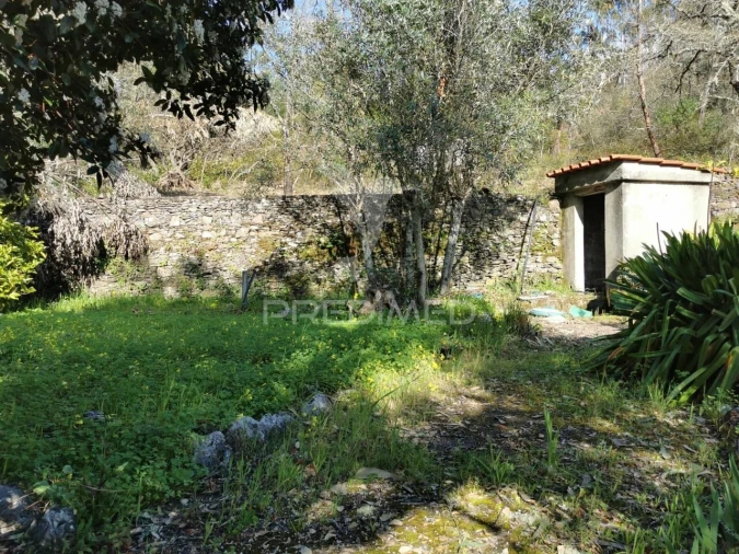 Terreno para Venda em Serra e Junceira Foto 5