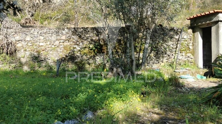 Terreno para Venda em Serra e Junceira