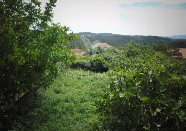 Moradia T4 para Venda em Andrães Foto 22