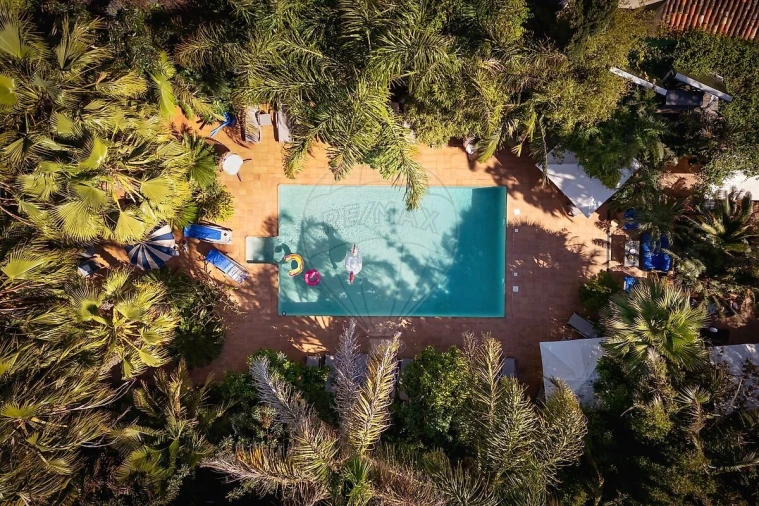 Negócio para Venda em Mexilhoeira Grande Foto 5