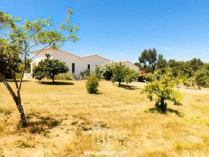 Moradia T5 para Venda em Escalos de Baixo e Mata Foto 6