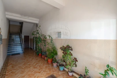 Apartamento T3 para Venda em Assafarge e Antanhol