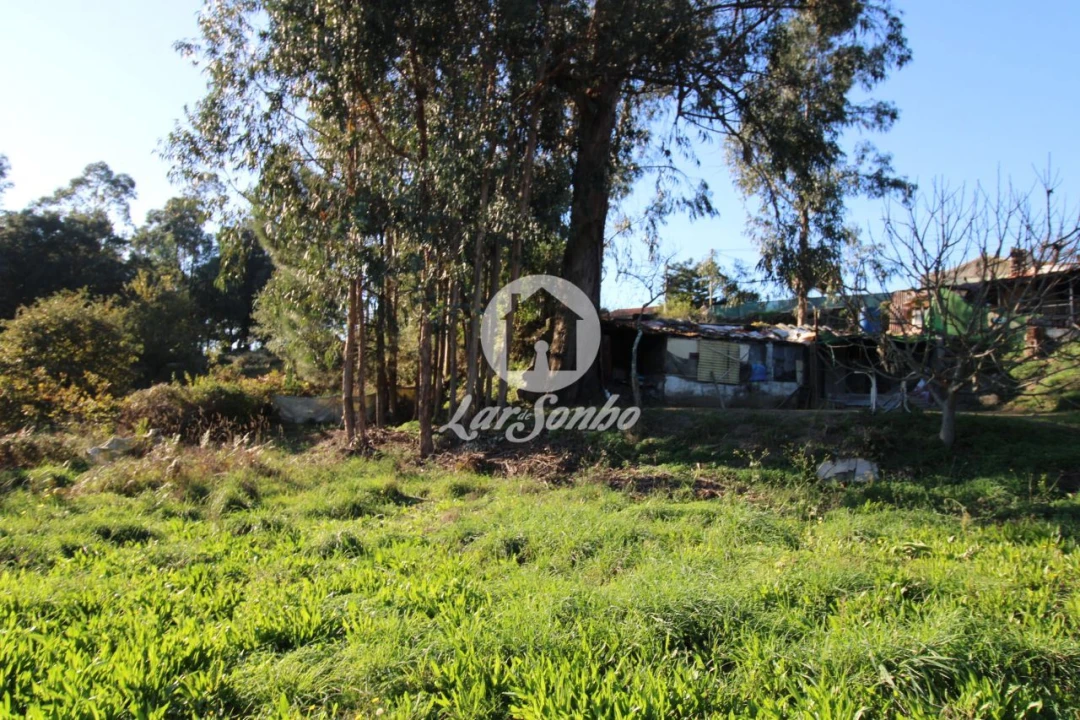 Terreno para Venda em Areias, Sequeirô, Lama e Palmeira Foto 1