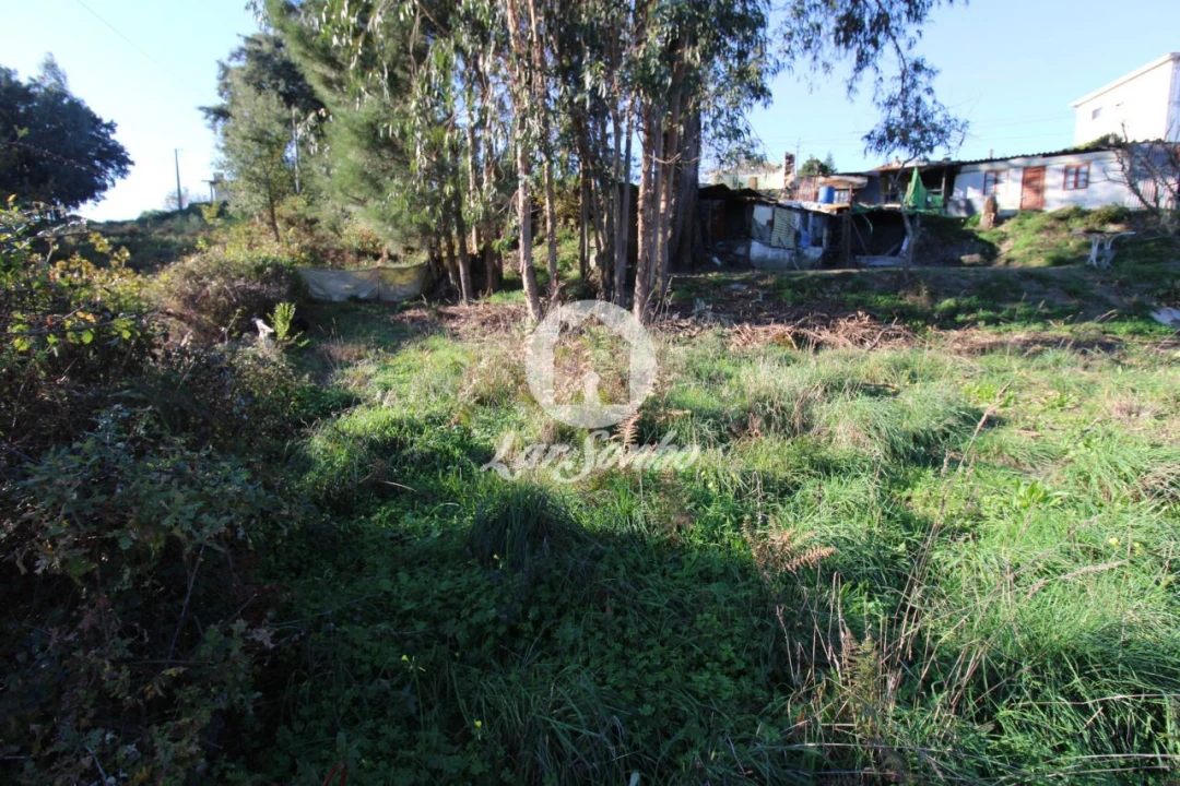 Terreno para Venda em Areias, Sequeirô, Lama e Palmeira Foto 4