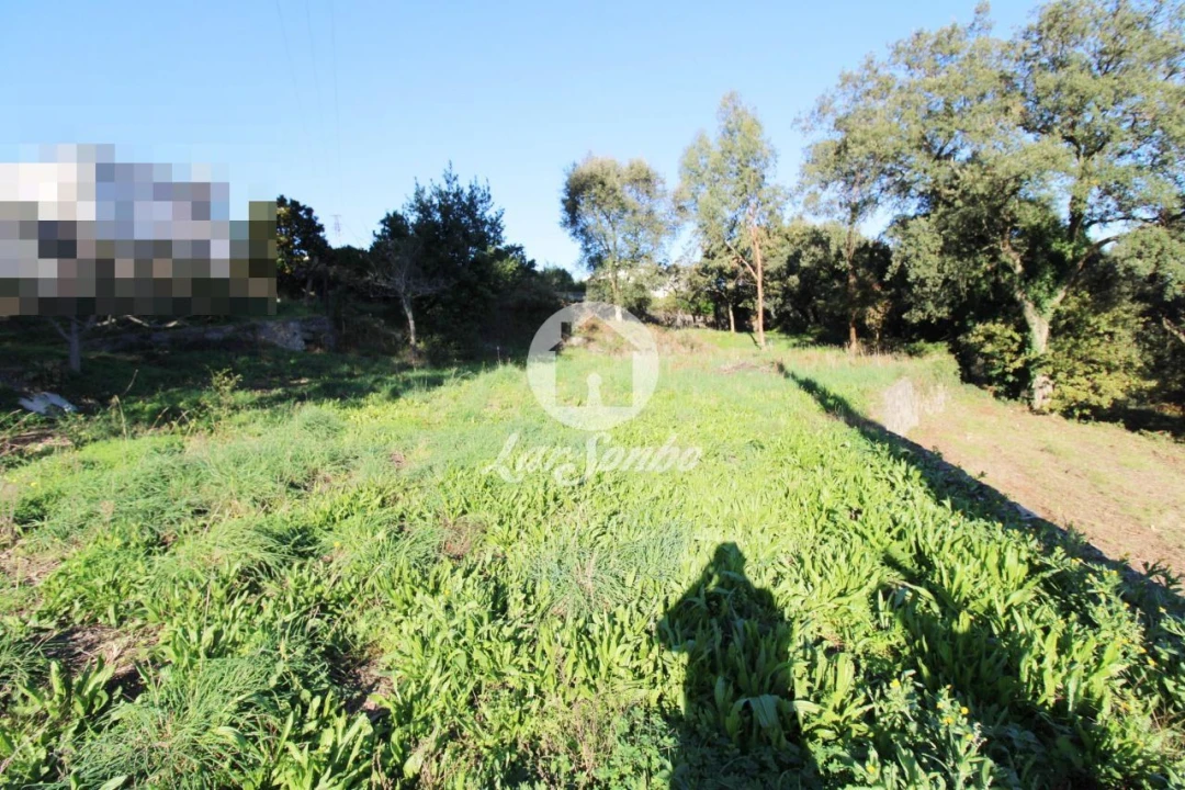 Terreno para Venda em Areias, Sequeirô, Lama e Palmeira Foto 5