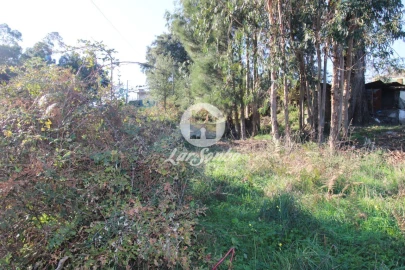 Terreno para Venda em Areias, Sequeirô, Lama e Palmeira