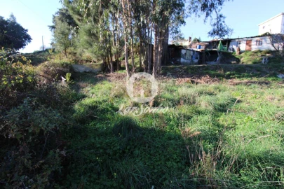 Terreno para Venda em Areias, Sequeirô, Lama e Palmeira
