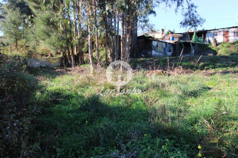 Terreno para Venda em Areias, Sequeirô, Lama e Palmeira Foto 3