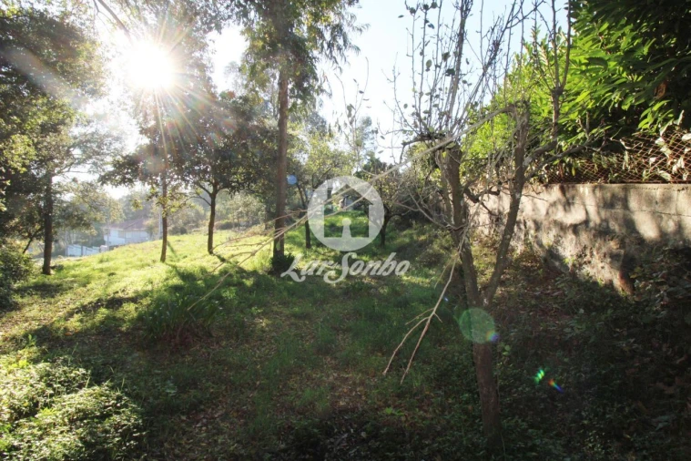 Terreno para Venda em Areias, Sequeirô, Lama e Palmeira Foto 7