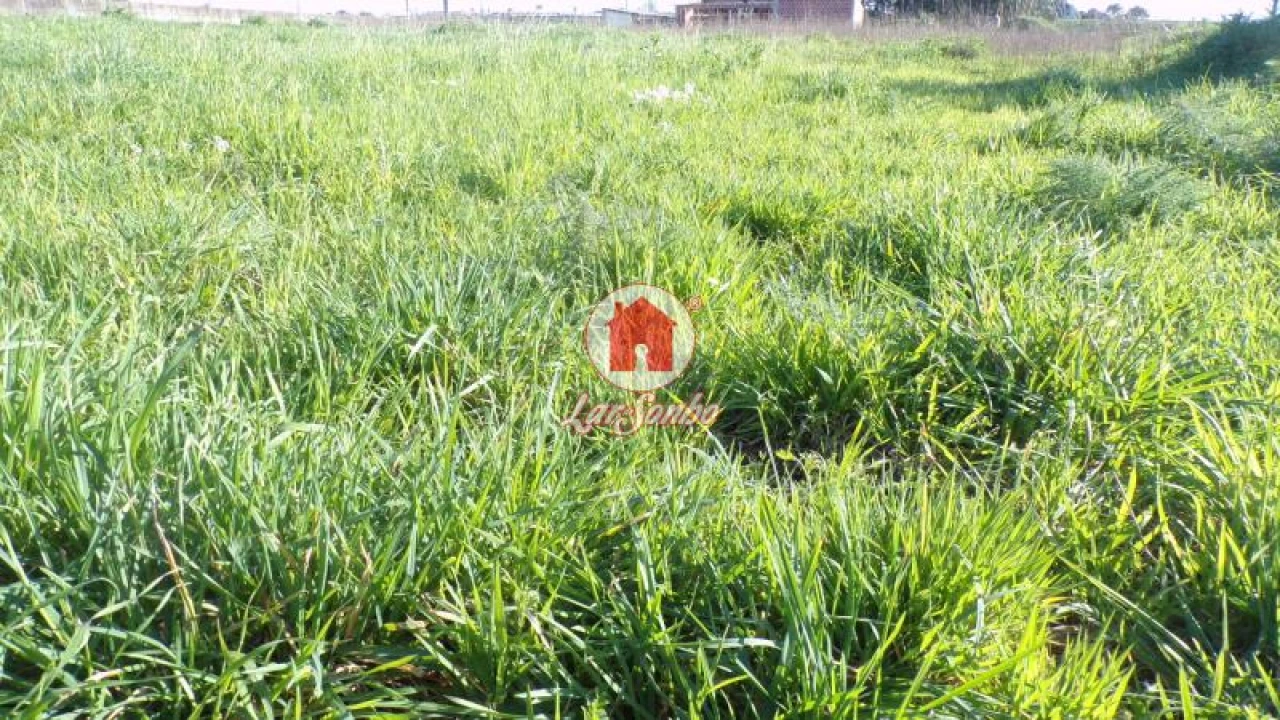 Terreno para Venda em Aver-O-Mar, Amorim e Terroso Foto 3