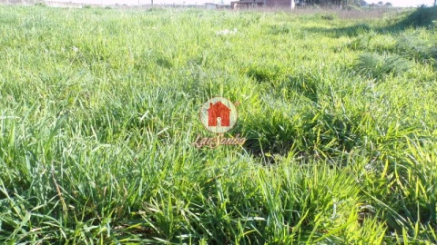 Terreno para Venda em Aver-O-Mar, Amorim e Terroso
