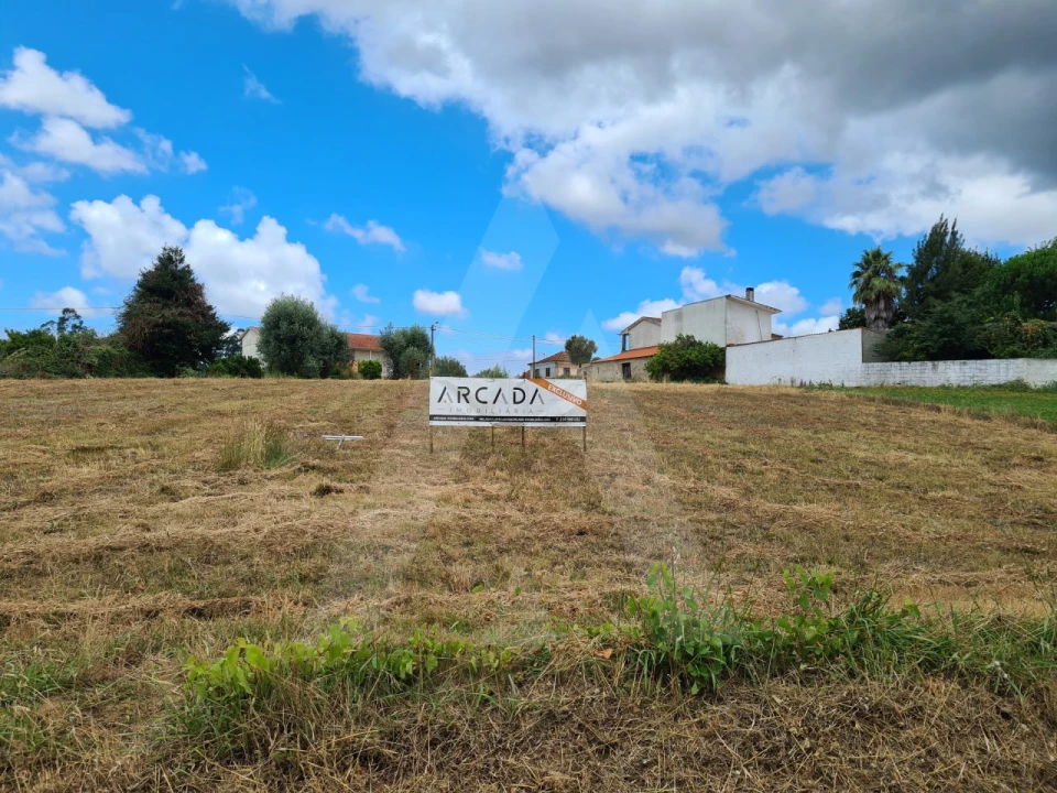 Terreno para Venda em Macinhata do Vouga Foto 1