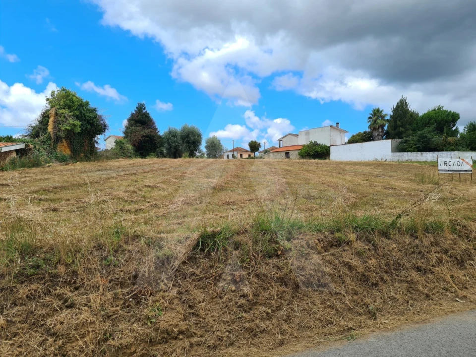 Terreno para Venda em Macinhata do Vouga Foto 4