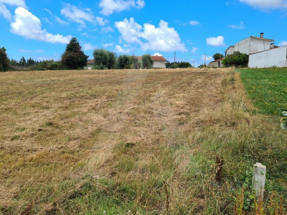 Terreno para Venda em Macinhata do Vouga Foto 7
