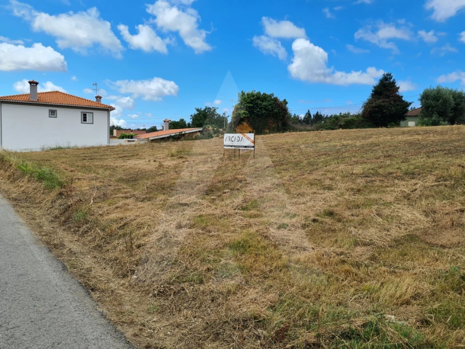 Terreno para Venda em Macinhata do Vouga Foto 3