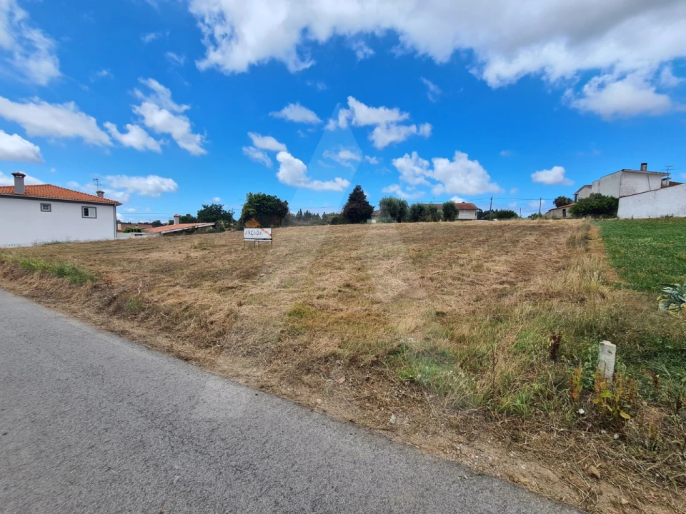 Terreno para Venda em Macinhata do Vouga Foto 9