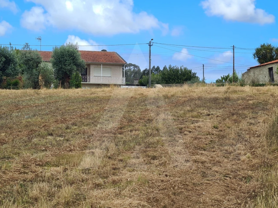 Terreno para Venda em Macinhata do Vouga Foto 10