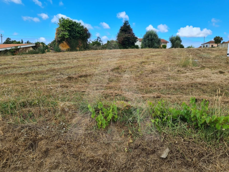 Terreno para Venda em Macinhata do Vouga Foto 12