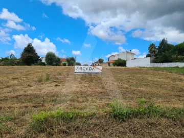 Terreno para Venda em Macinhata do Vouga