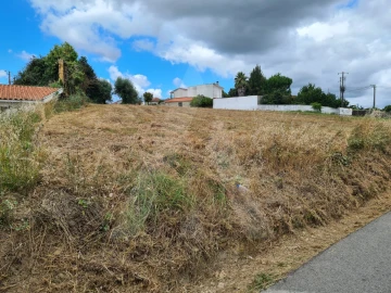 Terreno para Venda em Macinhata do Vouga