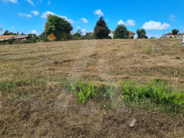 Terreno para Venda em Macinhata do Vouga