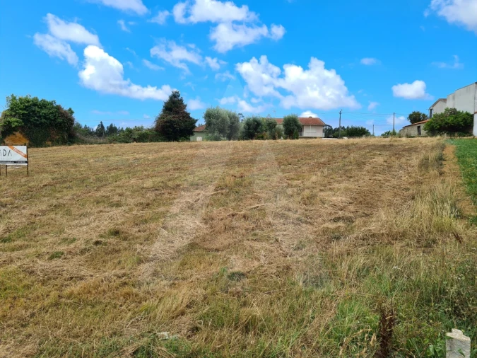 Terreno para Venda em Macinhata do Vouga Foto 8